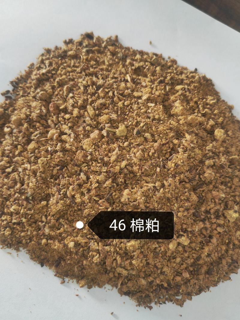 46棉粕