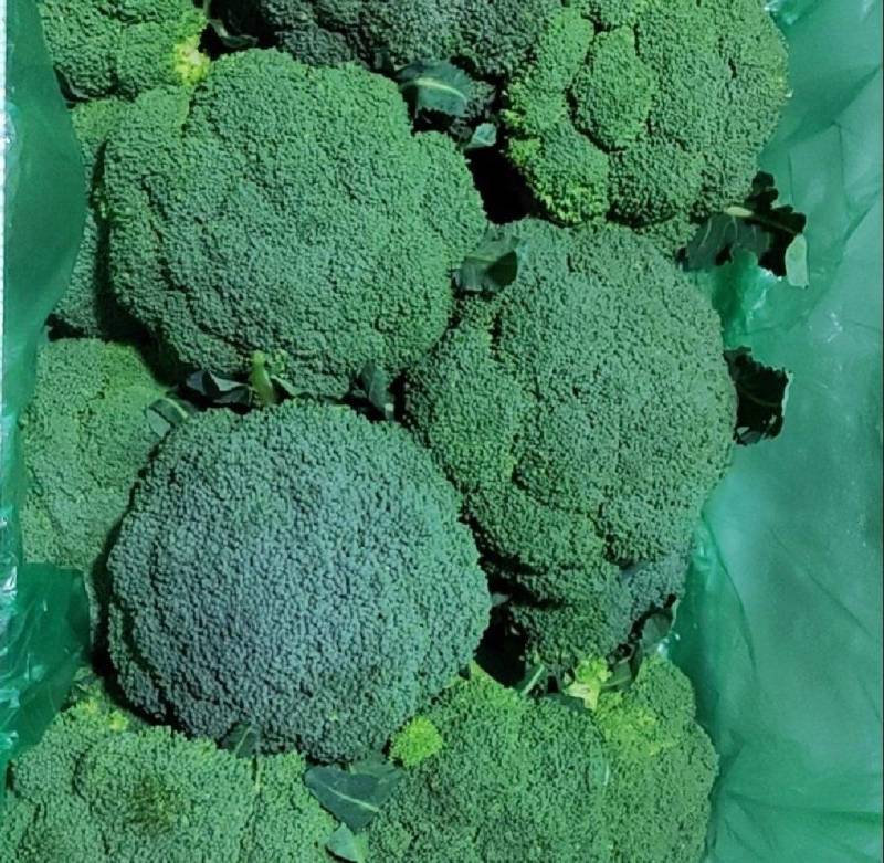 精品西兰花，口感好，不同规格大小均有，可打包欢迎老板选购