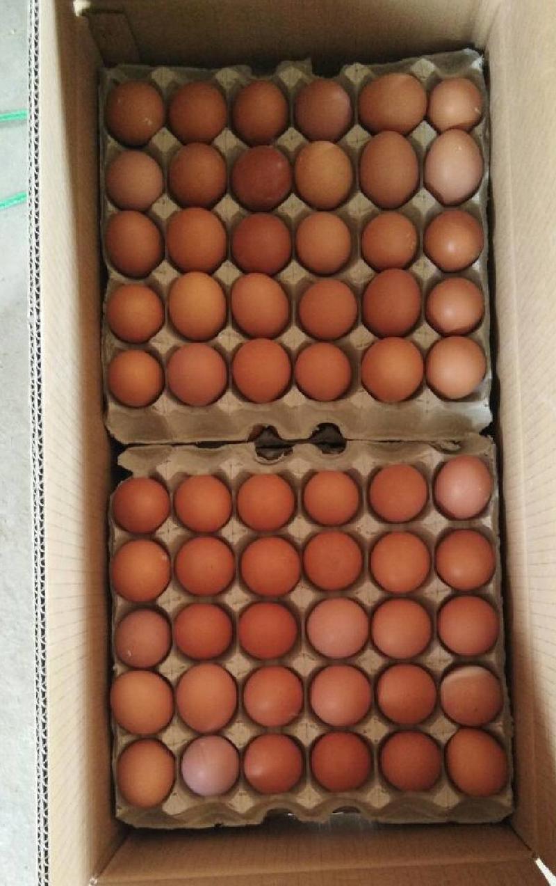 红蛋50～60g食用，散养土鸡蛋，新鲜无抗，保质保量