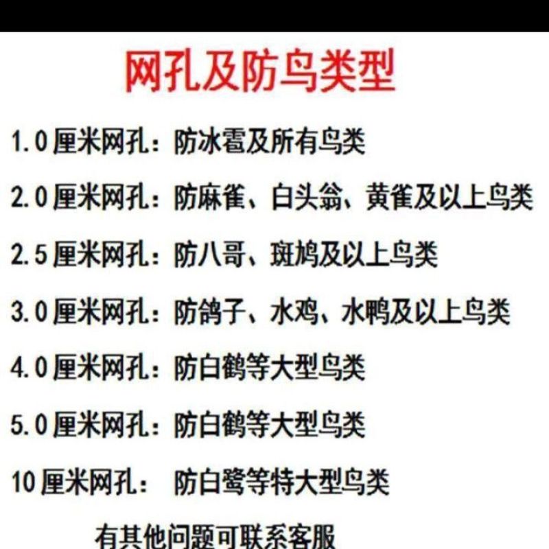 防鸟网聚乙烯尼龙网防鸟网果园鱼塘青蛙泥鳅专用防鸟遮鸟网