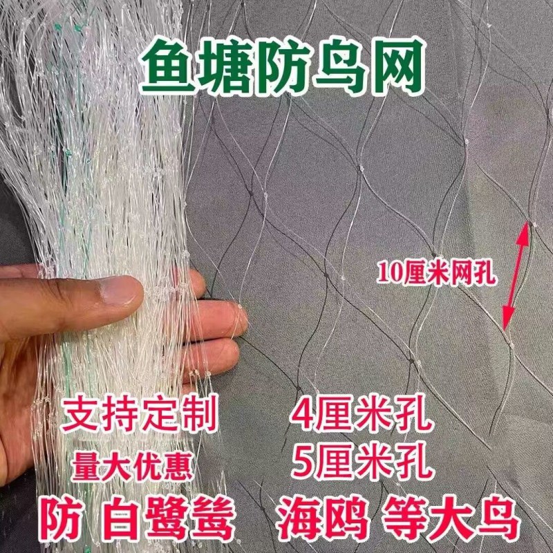 防鸟网聚乙烯尼龙网防鸟网果园鱼塘青蛙泥鳅专用防鸟遮鸟网