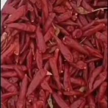 精品，三樱椒，