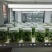河北马铃薯脱毒苗大量供应，品种纯正，可提供种植技术