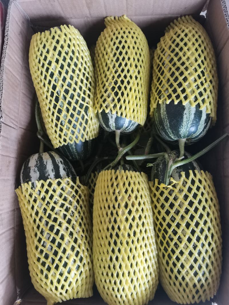 博洋九号博洋九甜瓜电商货市场货