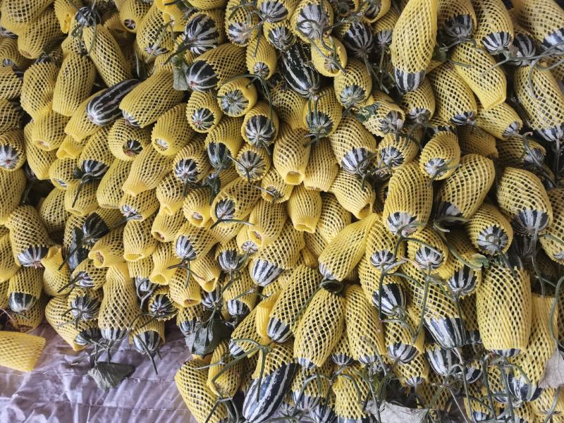博洋九号博洋九甜瓜电商货市场货