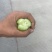 上海青🥬、蔬菜基地直销代办蔬菜品相优良价格优势