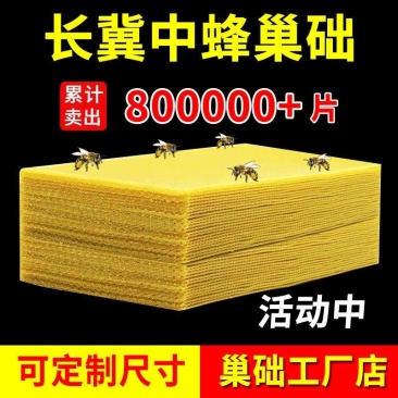 长冀巢础中蜂巢础蜜蜂巢础深房蜂蜡养蜂工具巢脾30