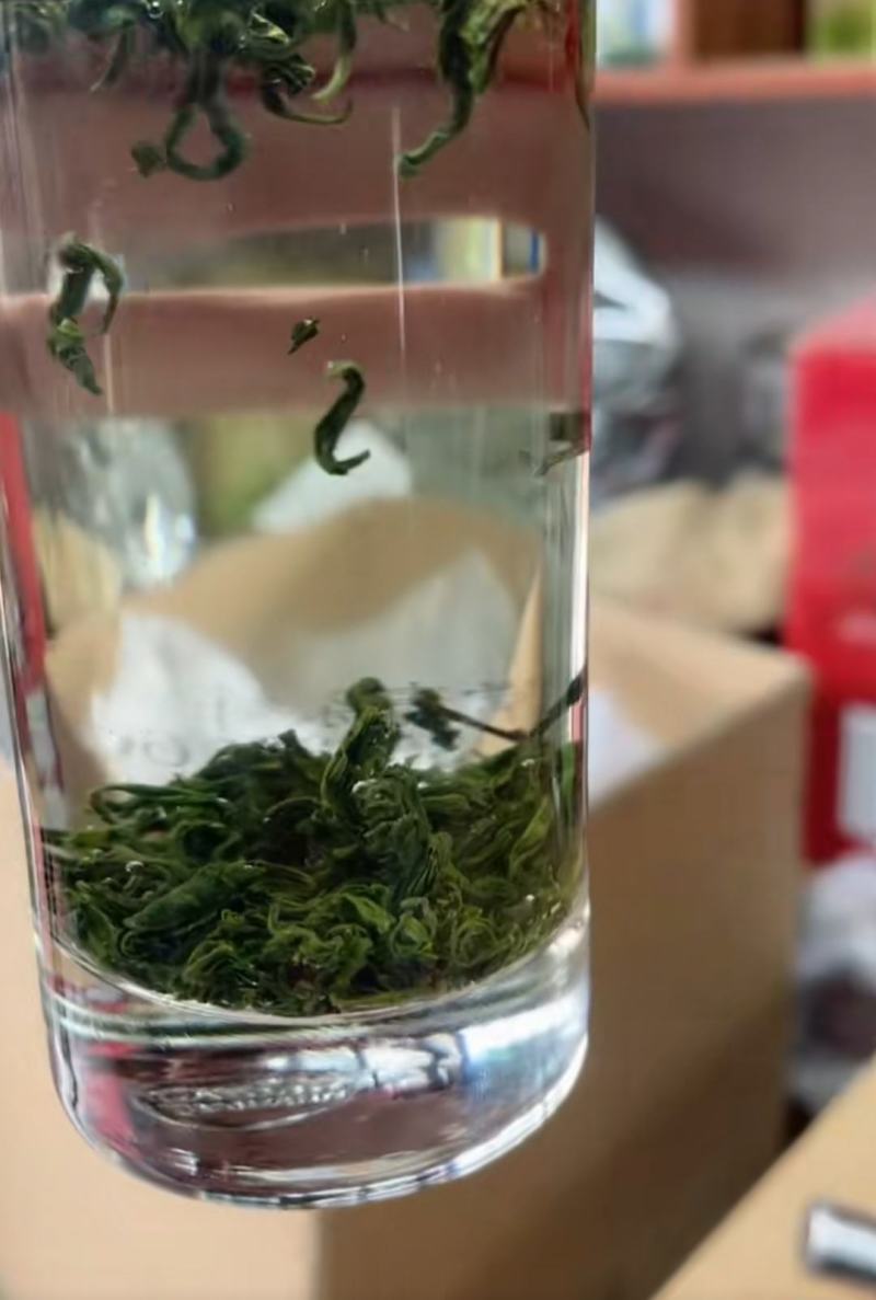 高山绿茶