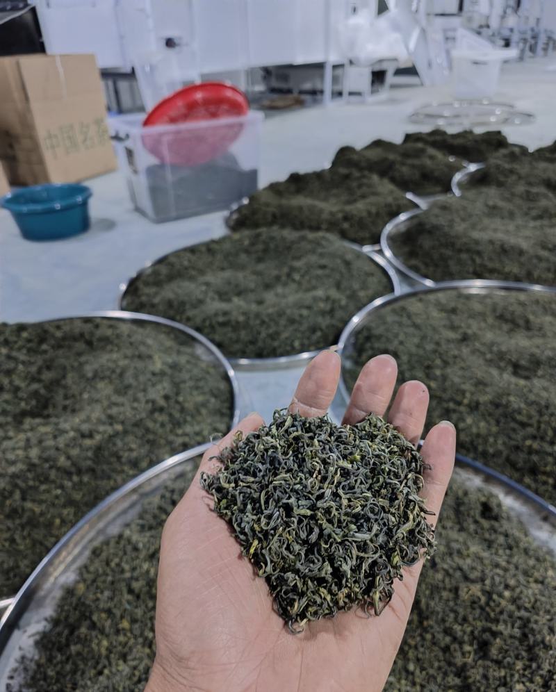 高山绿茶