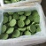 鲜莲蓬水果莲蓬嫩莲蓬海南早期莲蓬供应青莲蓬大量发货