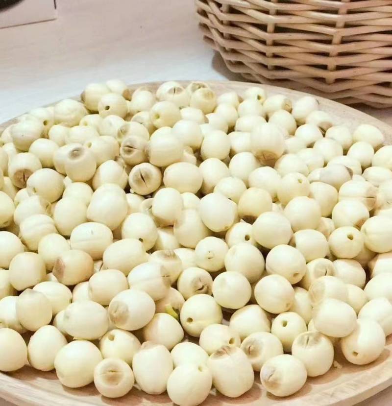 鲜白莲子基地直发去心白莲子大量发货纯手工