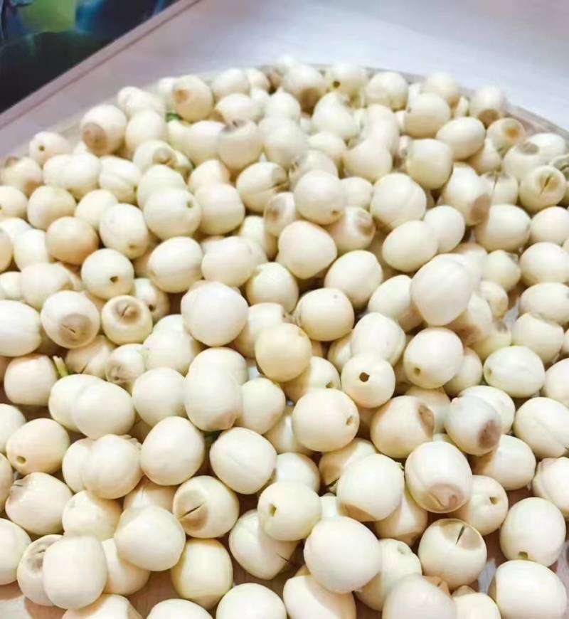 鲜白莲子基地直发去心白莲子大量发货纯手工