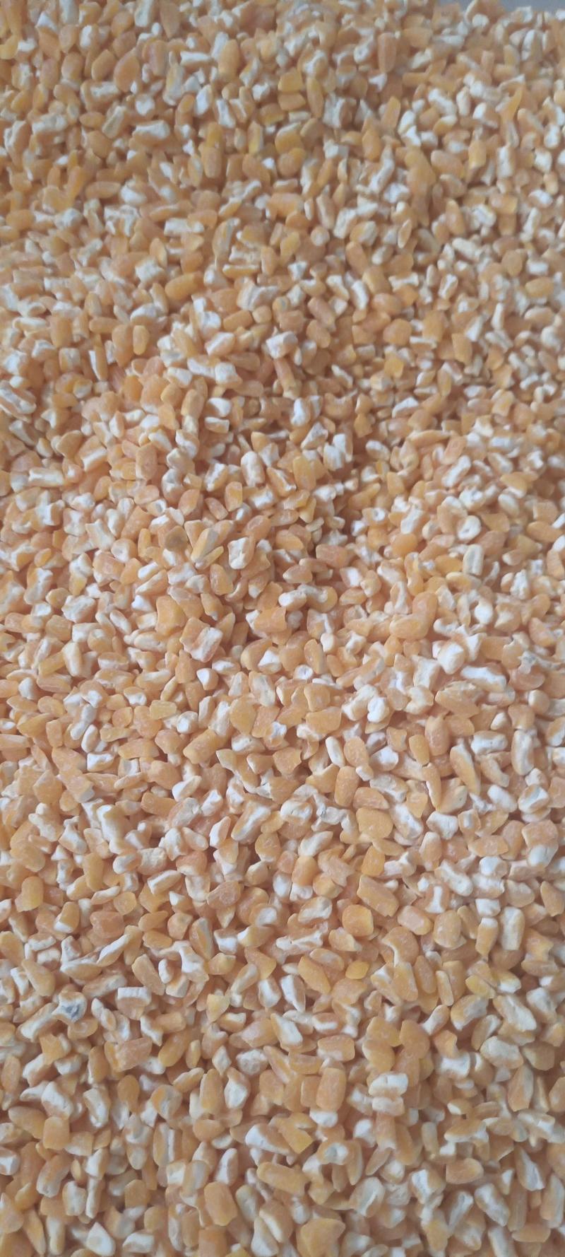 玉米渣玉米粉玉米精细粉玉米面欢迎致电咨询到厂参观