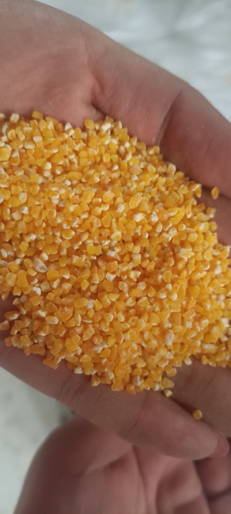 玉米渣玉米粉玉米精细粉玉米面欢迎致电咨询到厂参观