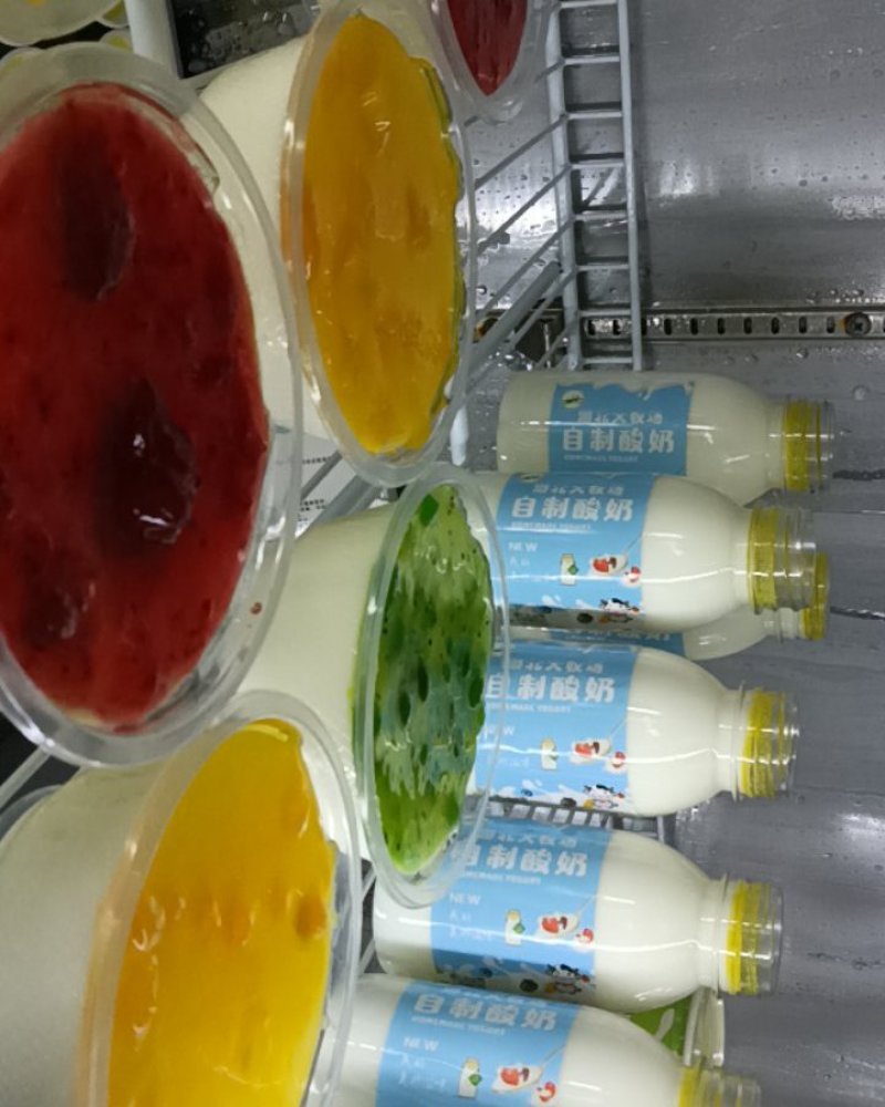 青海自制酸奶