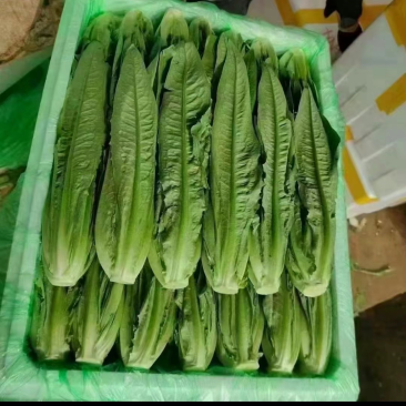 油麦