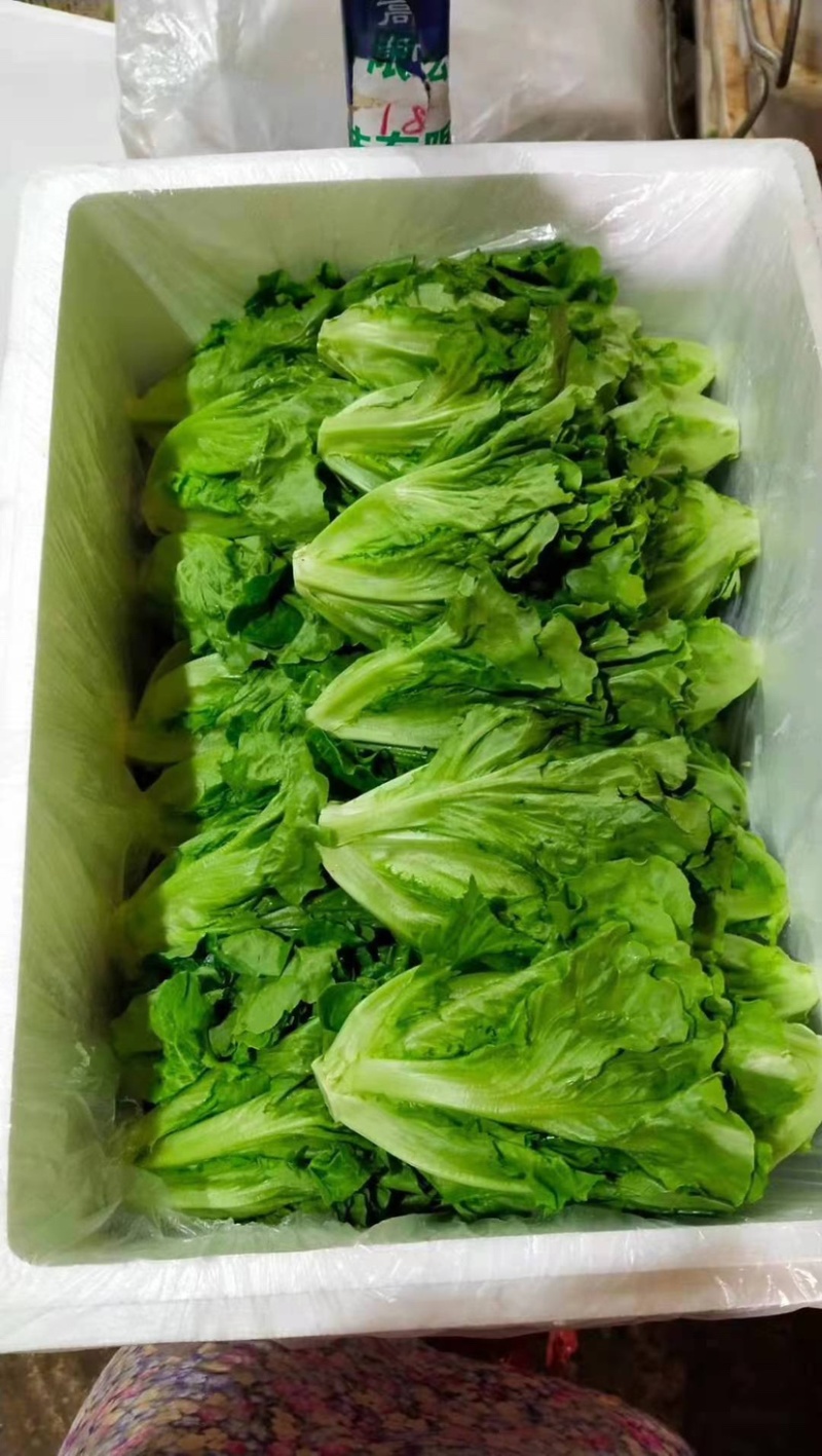 油麦