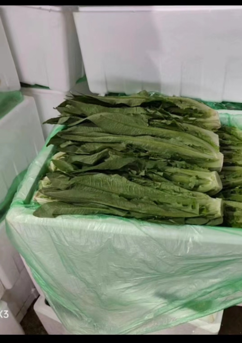 油麦