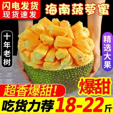 [海南产地直发保质保量]现摘当季菠萝蜜一整个新鲜批发