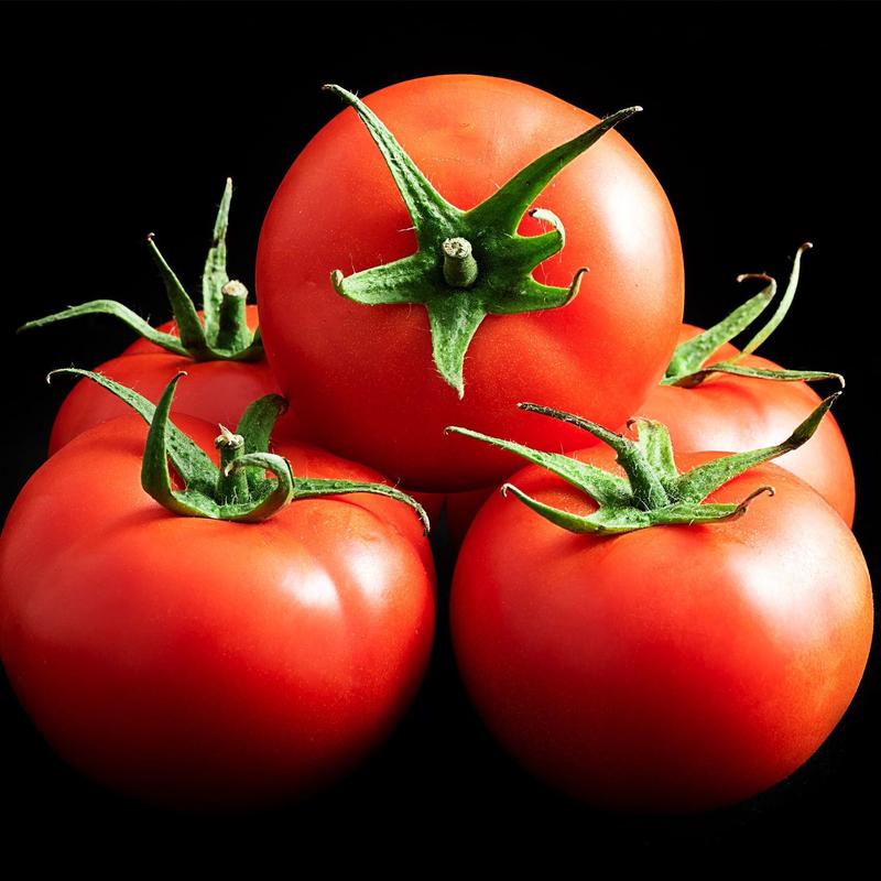 【硬粉西红柿】弧二弧三弧四规格齐全质量保证常年供应价格优