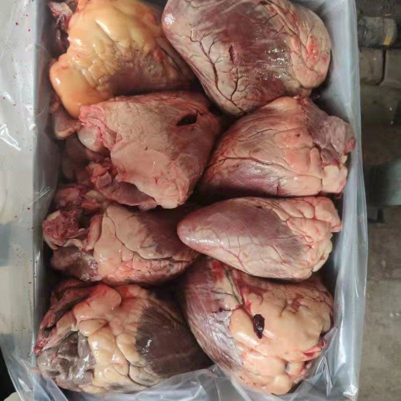 国产鲜冻牛心好吃不贵保质保量产地直发假一赔十欢迎致电