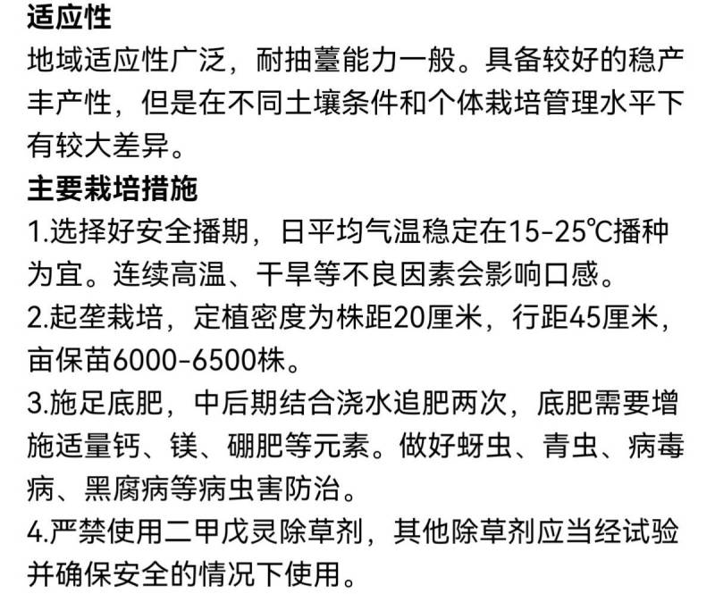欧雅脆2号水果萝卜种子欧兰德杂交超甜脆绿皮绿肉水果萝卜