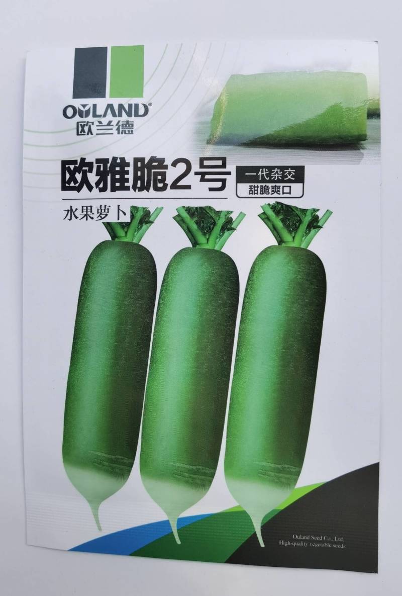 欧雅脆2号水果萝卜种子欧兰德杂交超甜脆绿皮绿肉水果萝卜