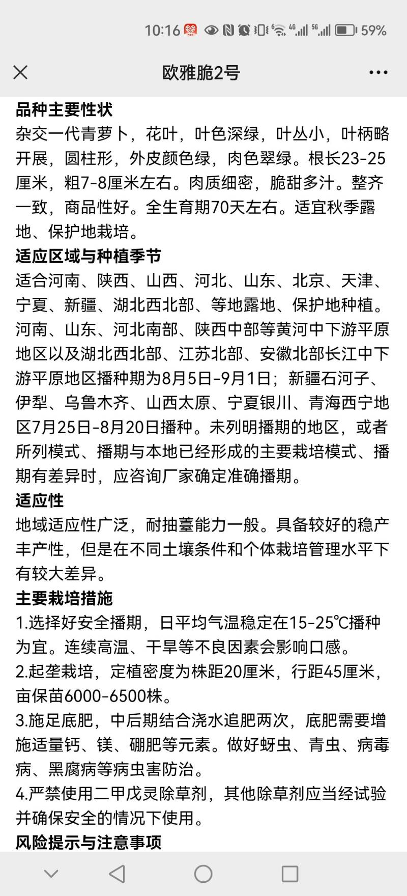 欧雅脆2号水果萝卜种子欧兰德杂交超甜脆绿皮绿肉水果萝卜