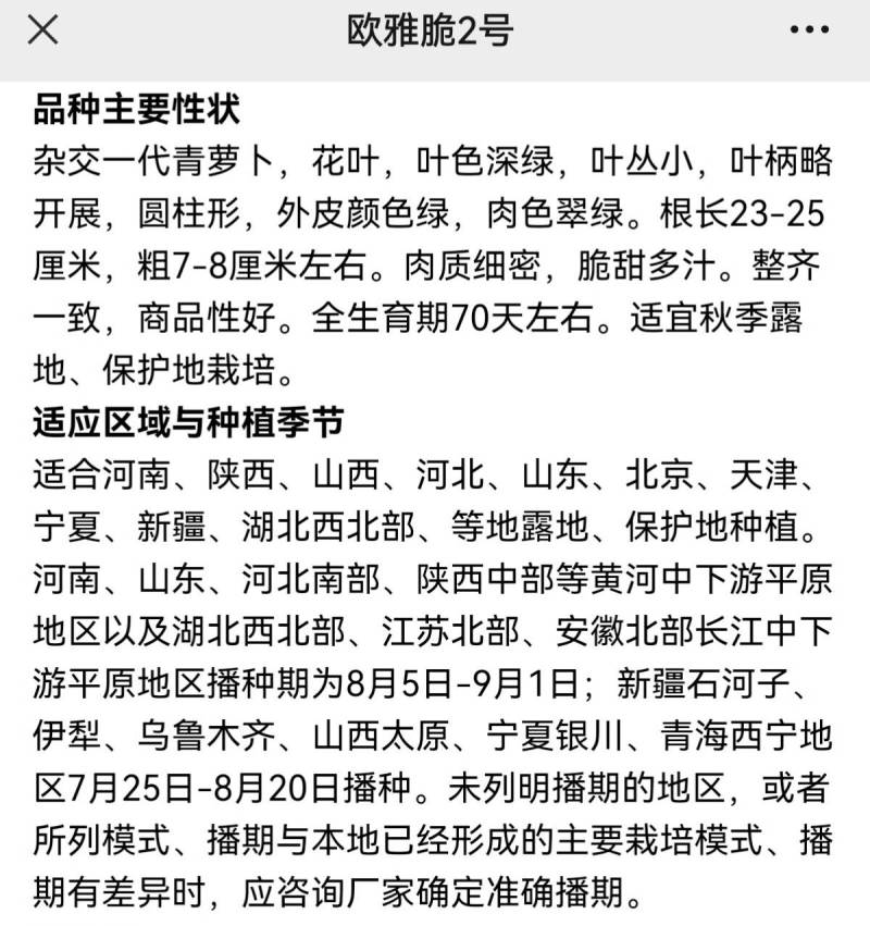 欧雅脆2号水果萝卜种子欧兰德杂交超甜脆绿皮绿肉水果萝卜