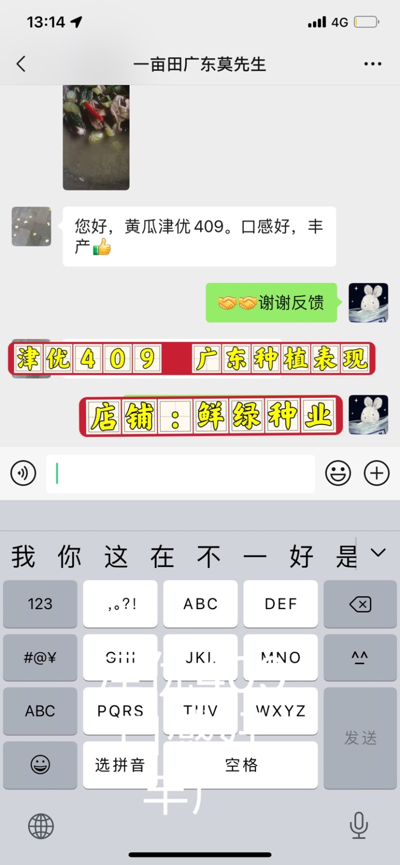 津优409：露地黄瓜、瓜条亮绿、把短条直、抗病性强