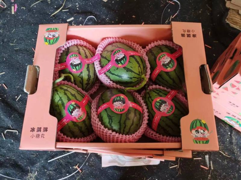 西瓜潍坊全美2k西瓜小糖丸供应商超批发市场鲜货供应