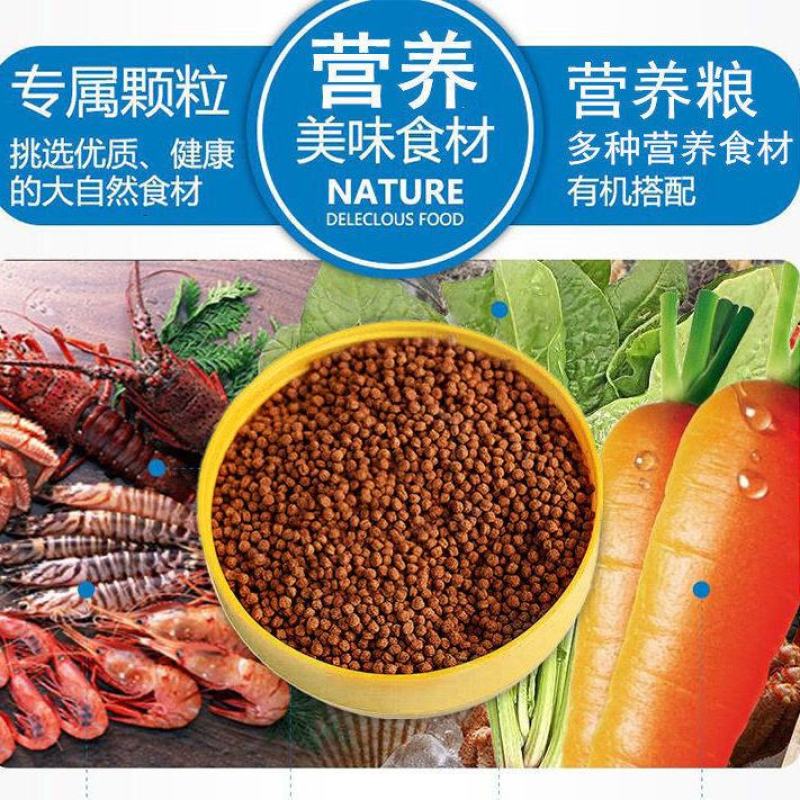 金鱼饲料观赏鱼锦鲤鱼食增色鱼粮大中小颗粒不浑水热带鱼食饵