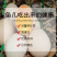金鱼饲料观赏鱼锦鲤鱼食增色鱼粮大中小颗粒不浑水热带鱼食饵