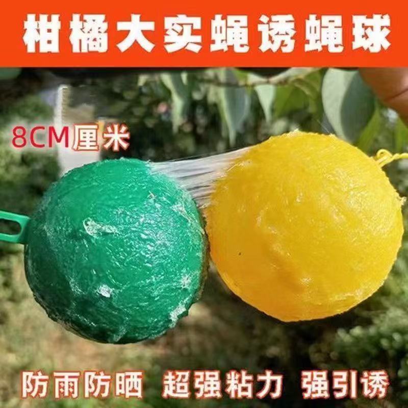 大果实蝇球诱蝇球诱捕器粘虫球柑橘针蜂蚊虫球橘子树果实蝇诱