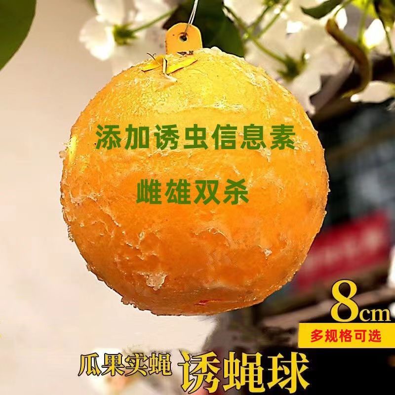 大果实蝇球诱蝇球诱捕器粘虫球柑橘针蜂蚊虫球橘子树果实蝇诱