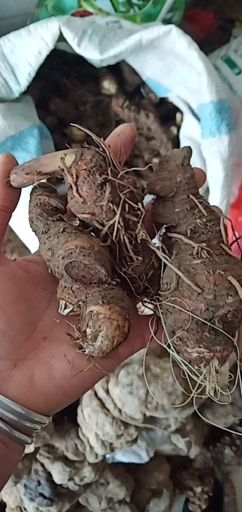 七叶一枝花