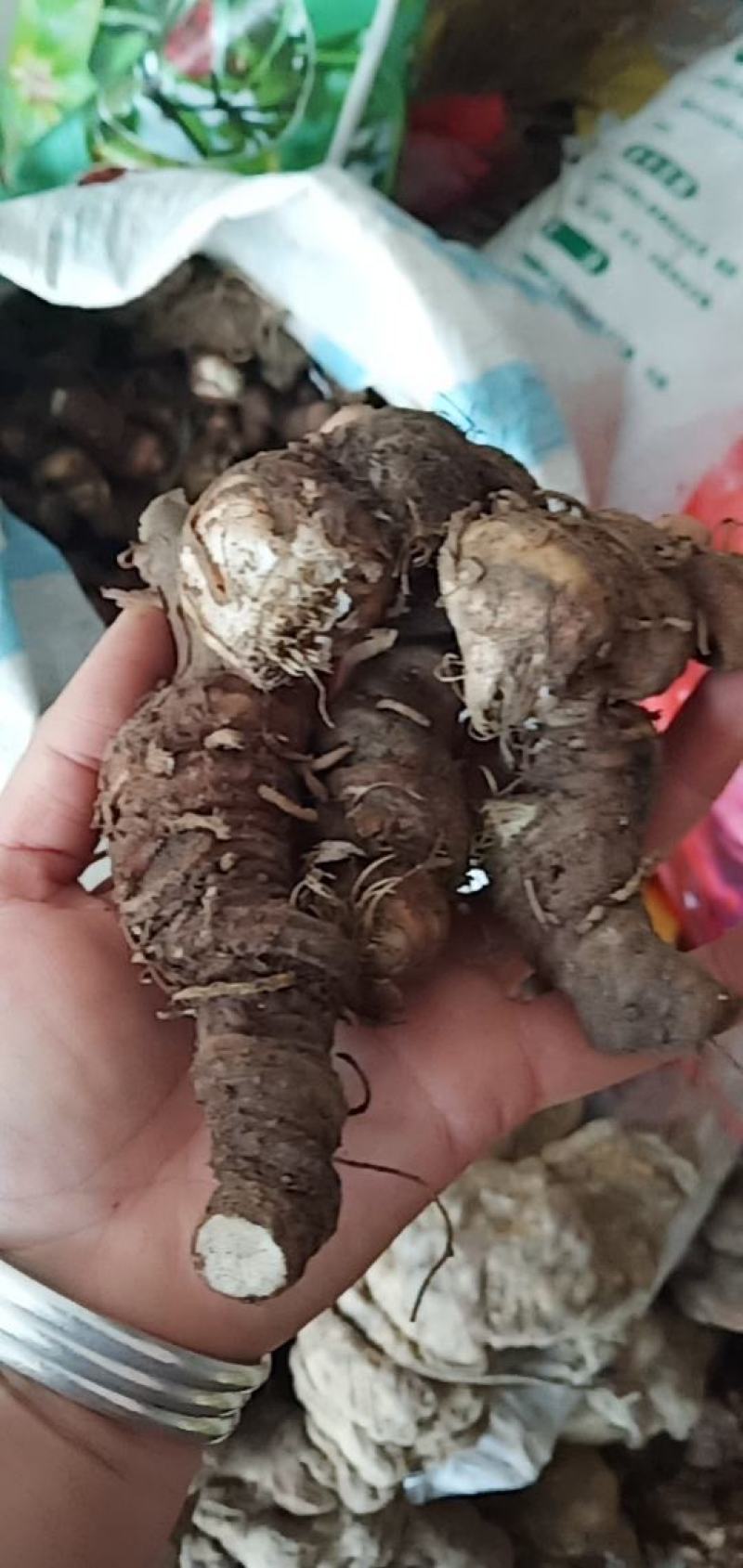 七叶一枝花