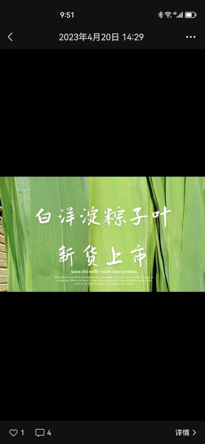雄安新区白洋淀无公害粽子叶