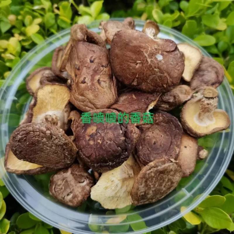 广西大瑶山野生香菇每一包25Og