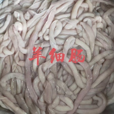 【羊盘肠】当地草原羊的生细肠、清洗干净箱装！全国冷链发货