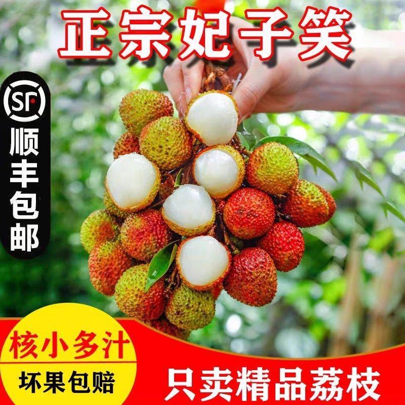 海南妃子笑荔枝/早熟妃子笑荔枝/荔枝/5号对接商超档口