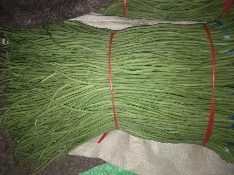 精品长豆角，产地一手货源，最快当天到货。