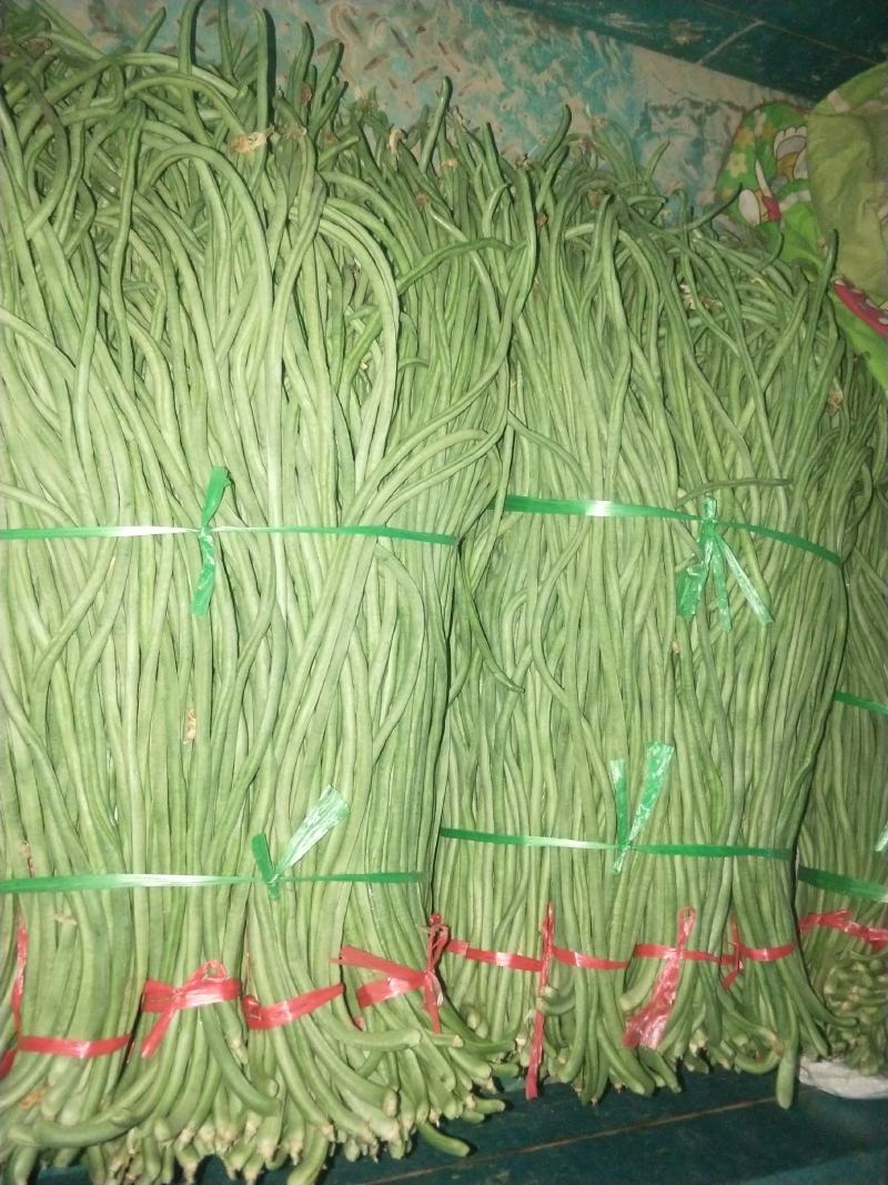 精品长豆角，产地一手货源，最快当天到货。