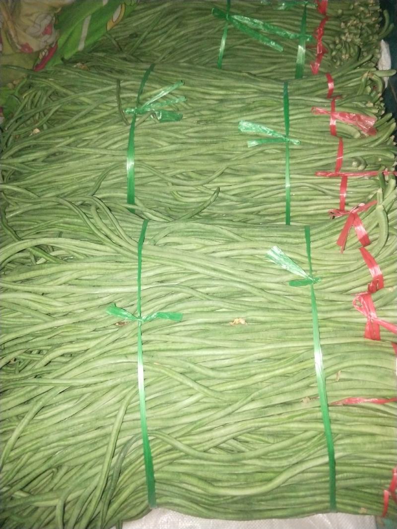 精品长豆角，产地一手货源，最快当天到货。