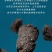 古树茶普洱茶化石碎银子熟普洱茶糯米香特级茶