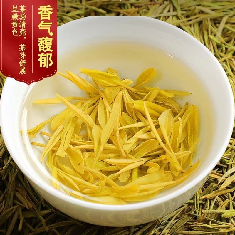 【2023新茶明前特级】安吉白茶黄金芽500g正宗高山茶