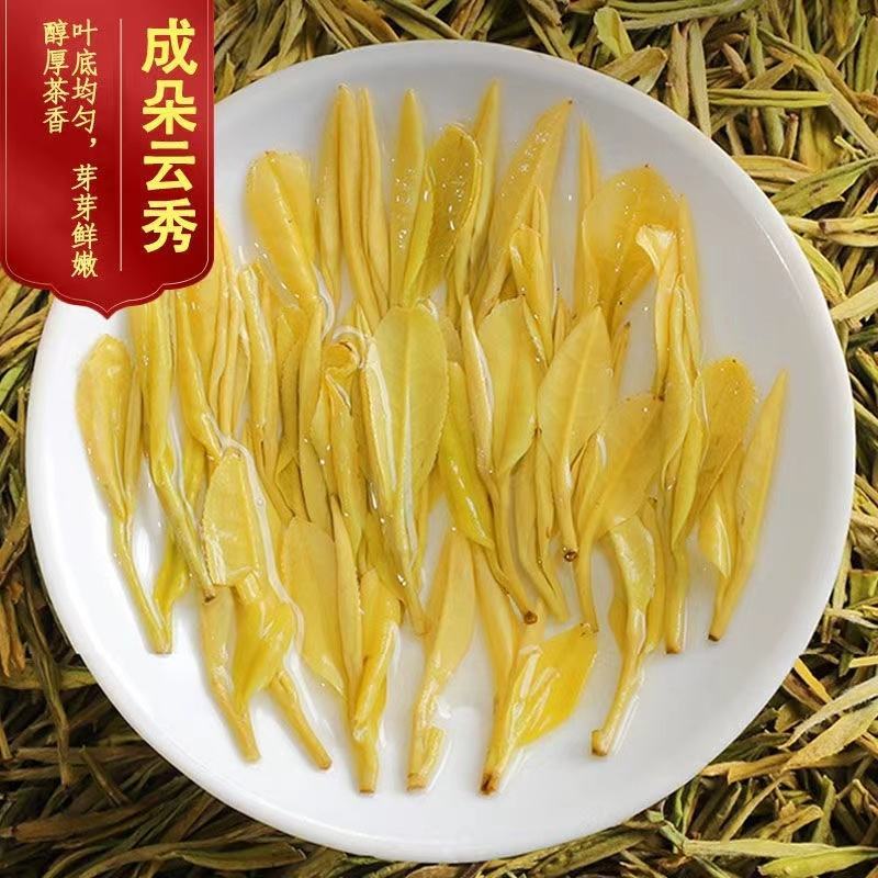 【2023新茶明前特级】安吉白茶黄金芽500g正宗高山茶