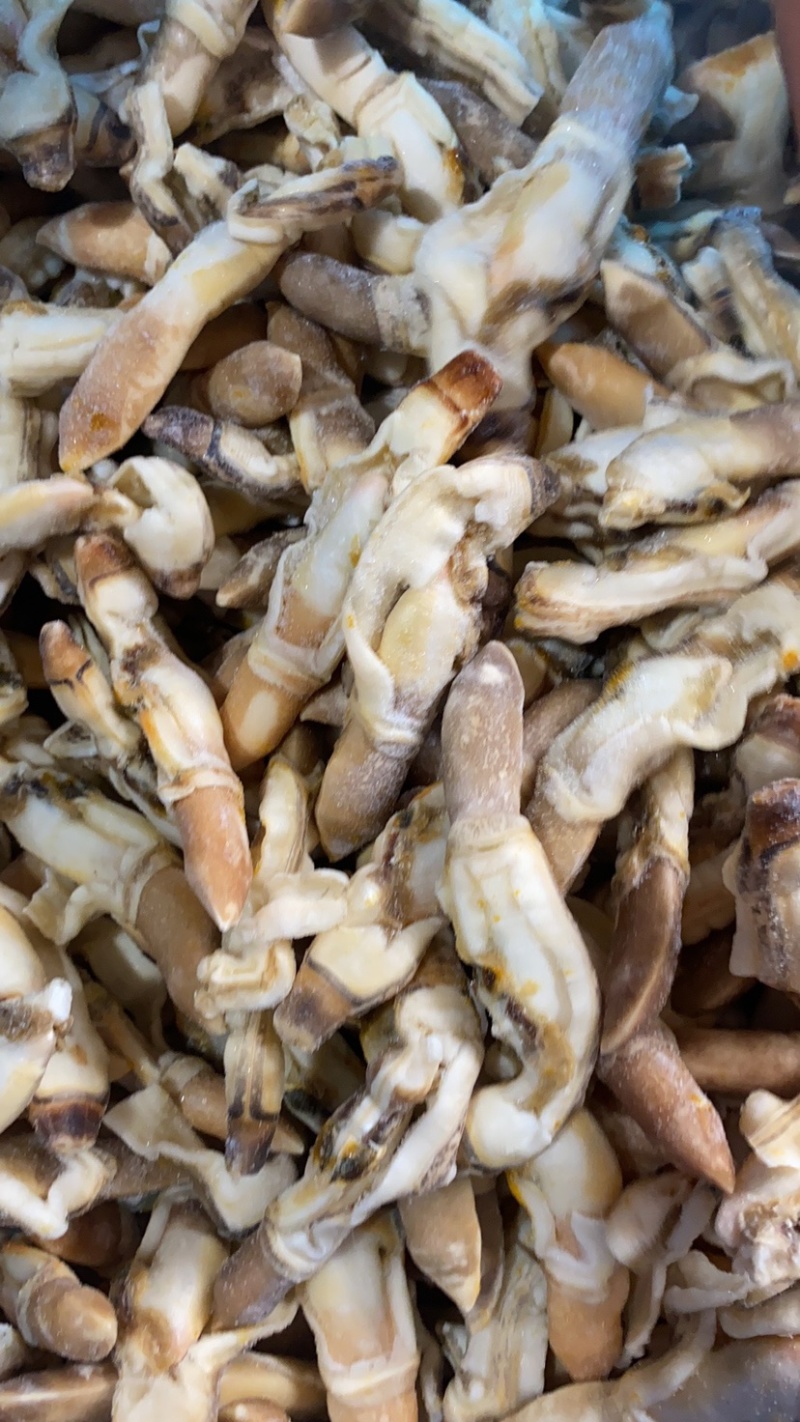 去沙蛏王肉大蛏子圣子肉圣王肉海蛏子