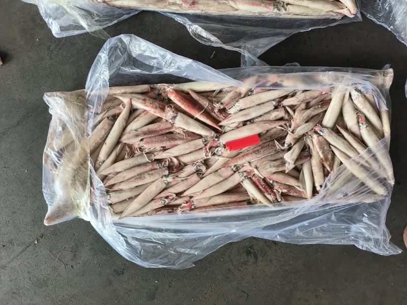 鱿鱼船冻鱿鱼25G鱿鱼东山小管鲜度好鱿鱼大鱿鱼