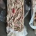 鱿鱼船冻鱿鱼25G鱿鱼东山小管鲜度好鱿鱼大鱿鱼